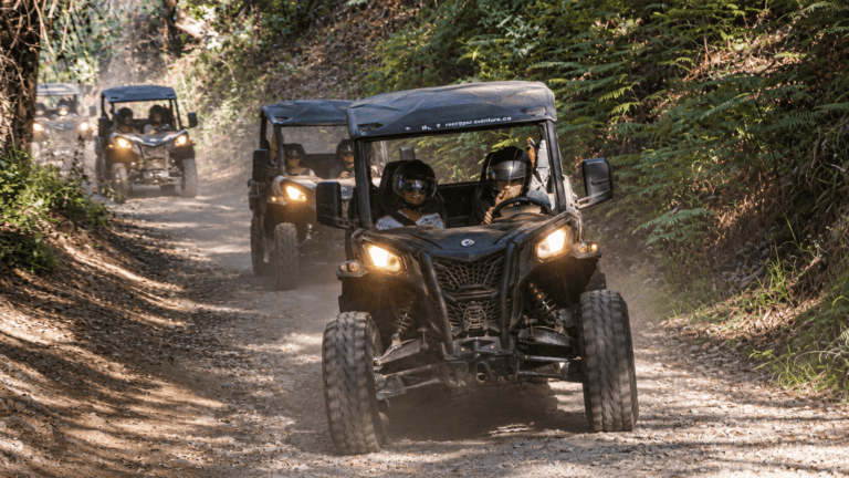 Buggy adventure through a forest in Madeira