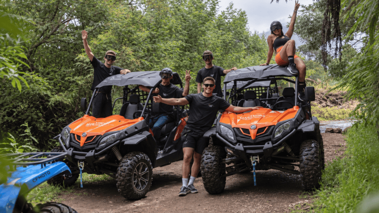 Guided buggy tour in Madeira