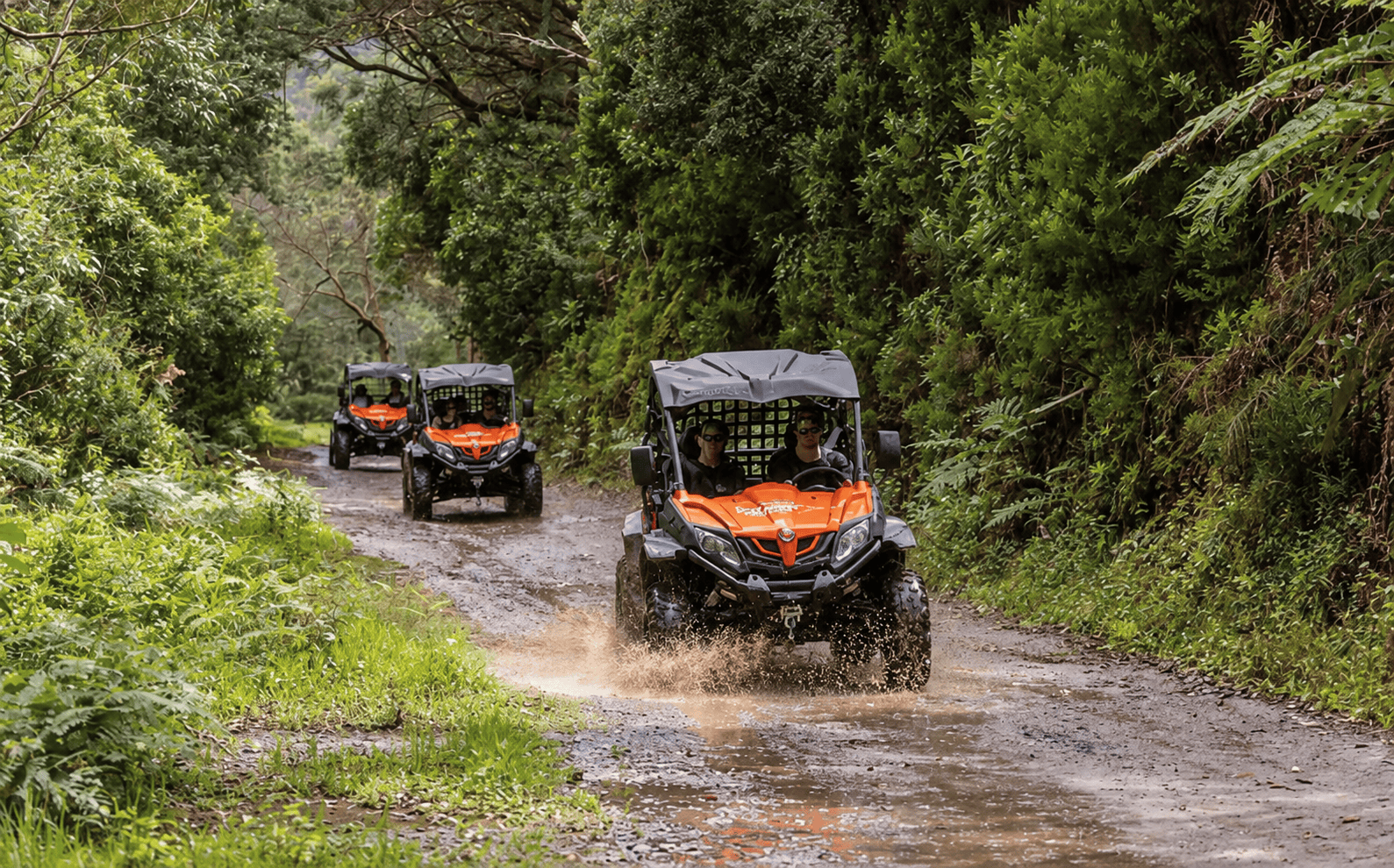Guided buggy safari tour in Madeira
