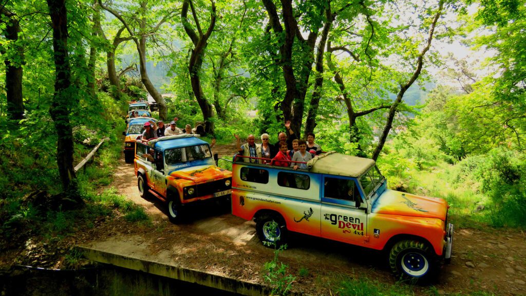 madeira-jeep-tour-laurissilva-forest