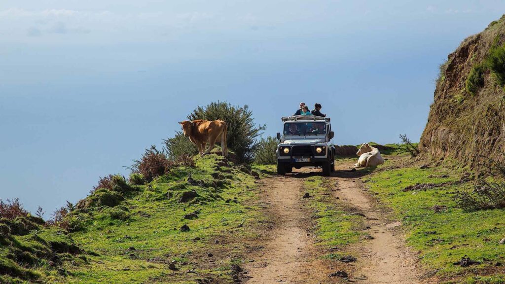 madeira-jeep-tour-mountain-trail