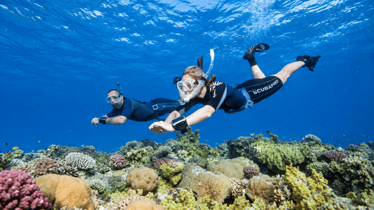 Scuba diver exploring a reef in Madeira