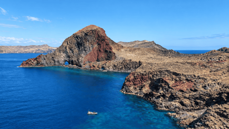 Snorkelling along the Madeira coast during a whale-watching trip