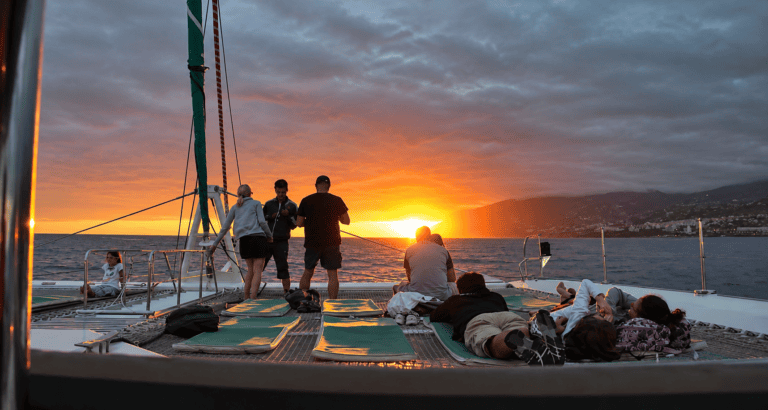 Whale and dolphin watching from a catamaran at sunset in Madeira