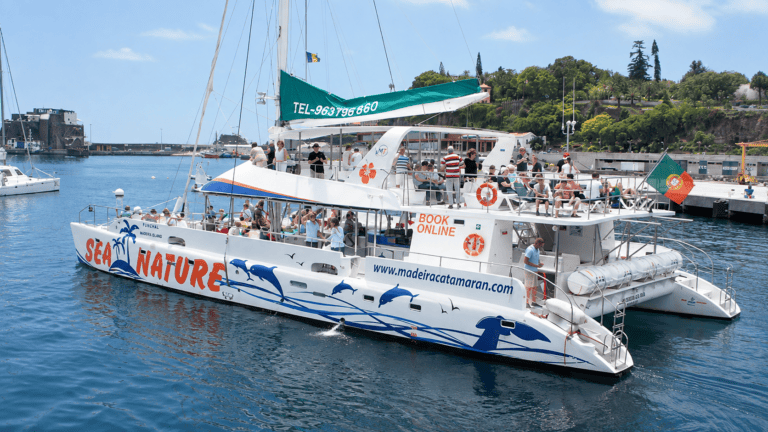 Whale and dolphin watching catamaran departing from Funchal, Madeira