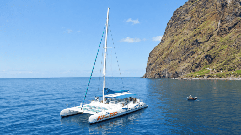 Whale-watching catamaran along Madeira's south coast