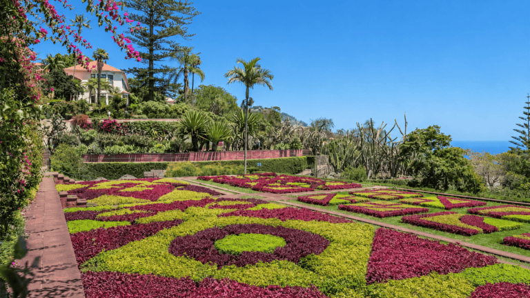 Landscaped garden overlooking the sea in Madeira