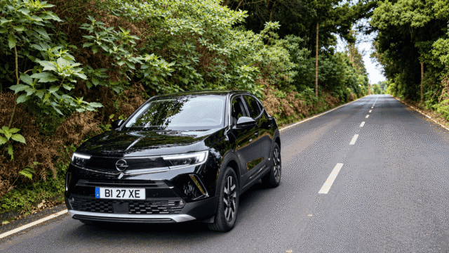 Rental car on a forest road in Madeira