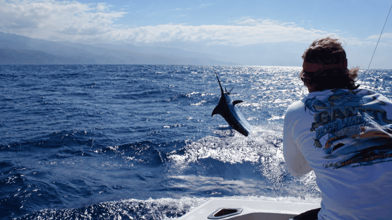 Big game fishing in the waters around Madeira