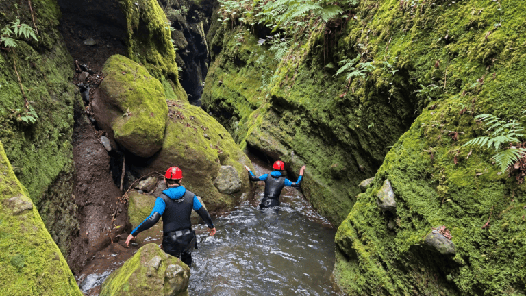 Canyoning tour through a forest in Madeira