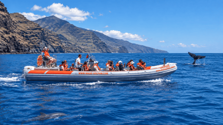 RIB boat on a whale-watching trip in Madeira