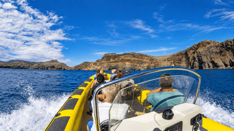 Small-boat whale and dolphin sea safari in Madeira